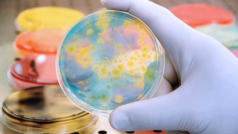 上海细胞工厂生物反应器：揭秘其核心优势与选型要点