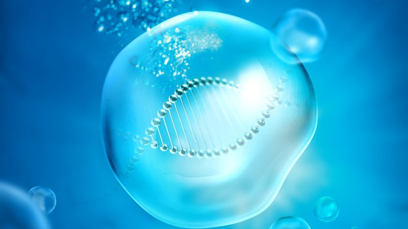 CRO实施流程：揭秘生物医药研发的“幕后英雄