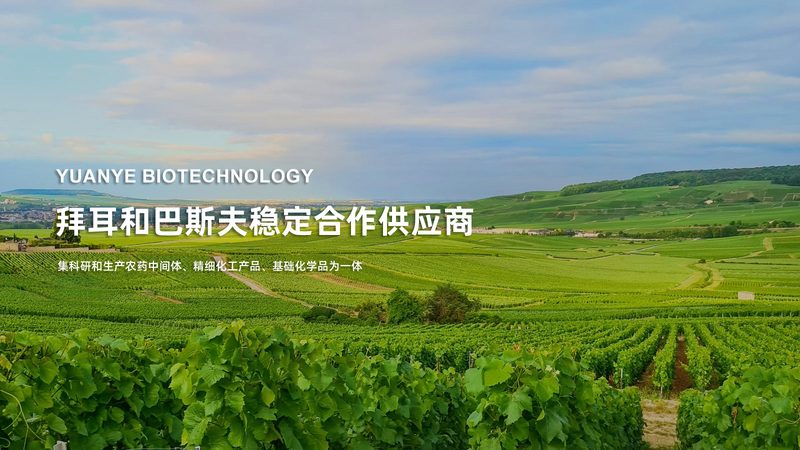 引物合成定制，生物医药研发的精准利器