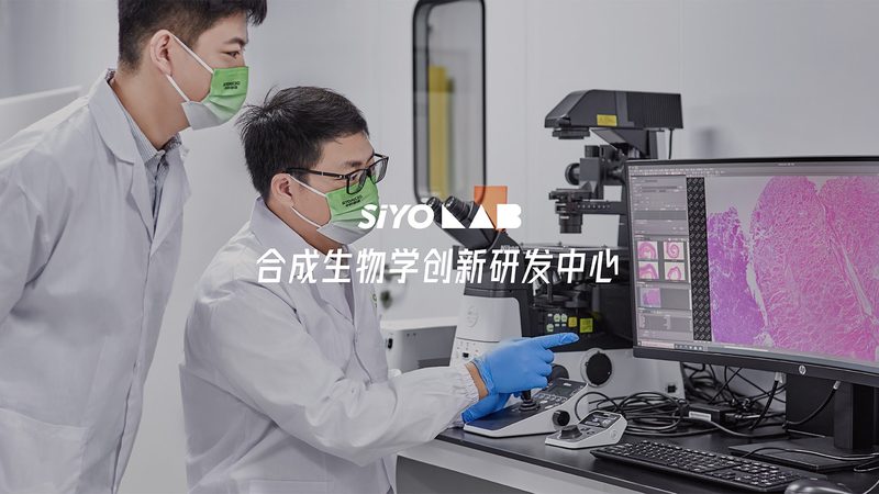 化药CDMO企业规模排名：揭秘行业格局与未来趋势**