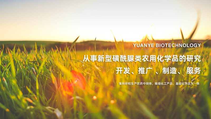 进口细胞培养试剂价格对比