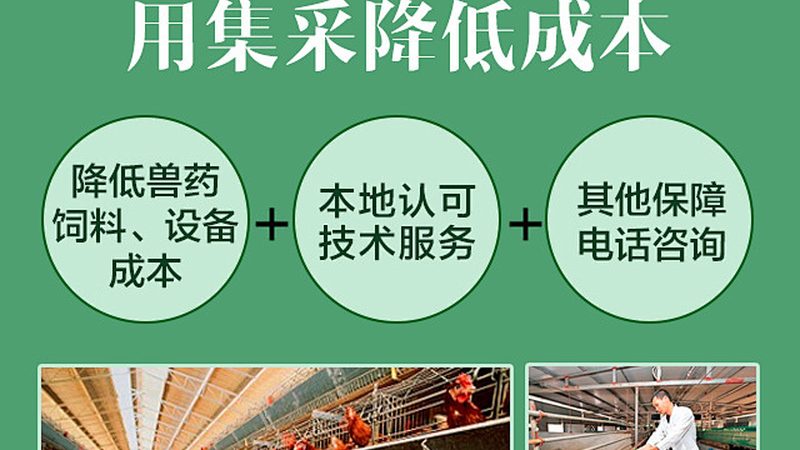 CDMO项目周期为什么常被低估