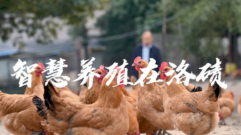 PCR离心管离心力：标准解析与实际应用**
