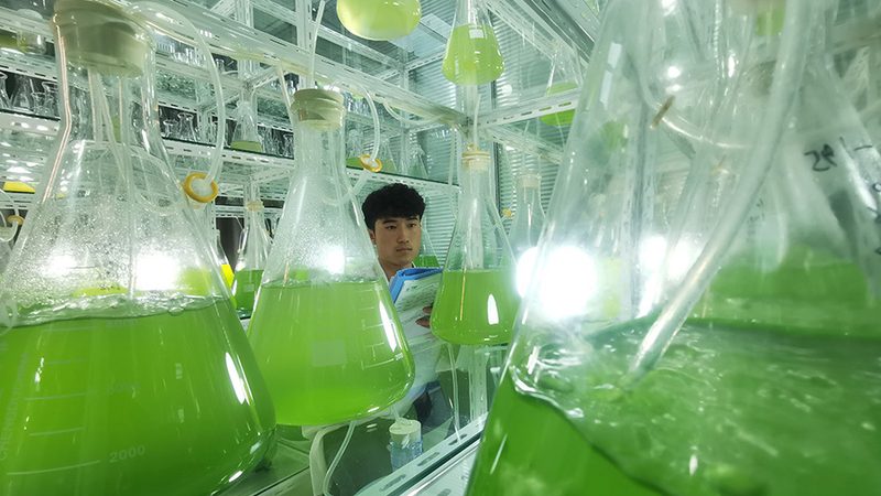 CDMO定制合成的成本构成揭秘